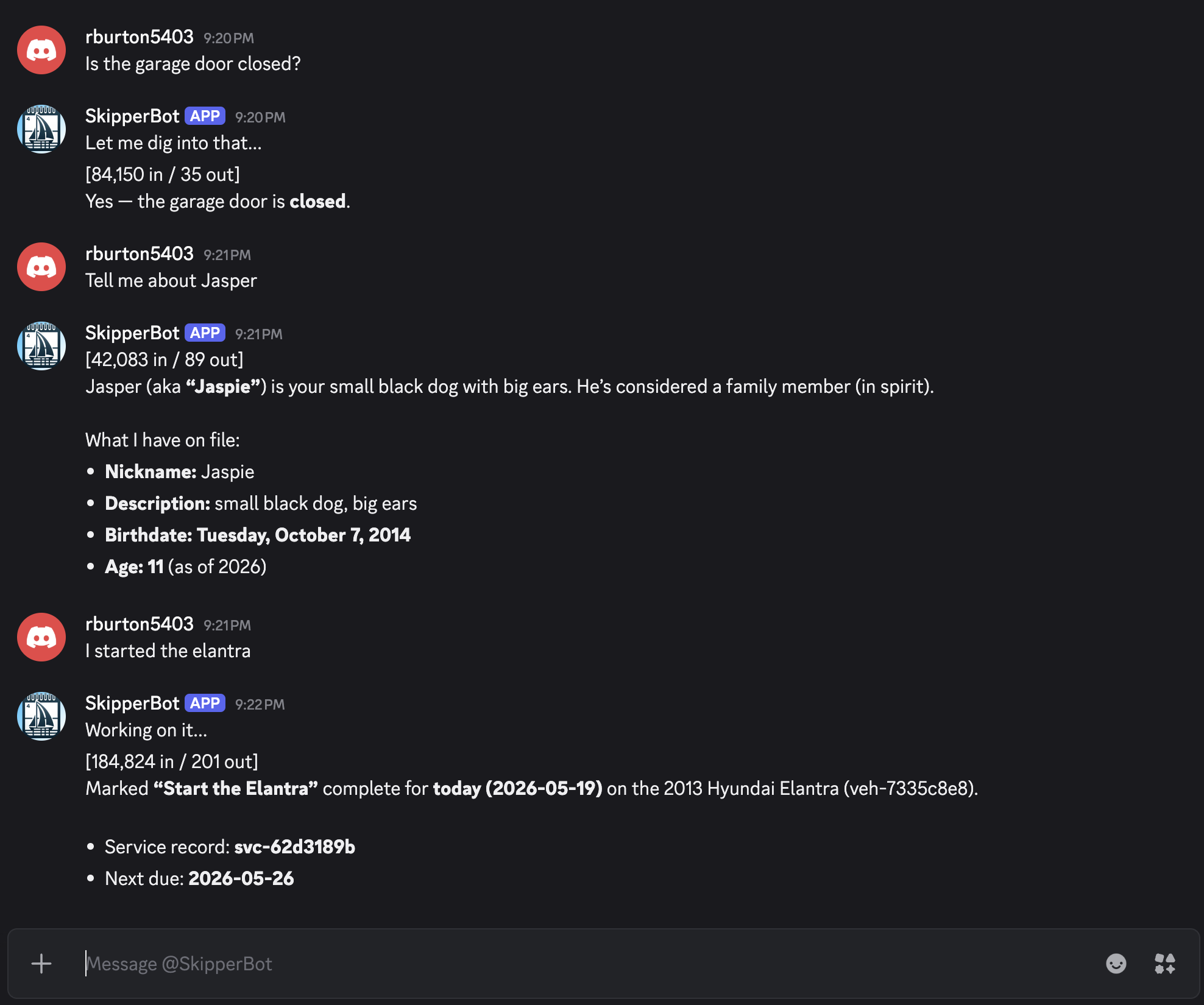 Discord DM with Skipper